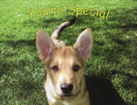 Your Special
