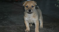 Girl #3
