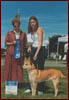 Carolina Dog Blue Ribbon Winner