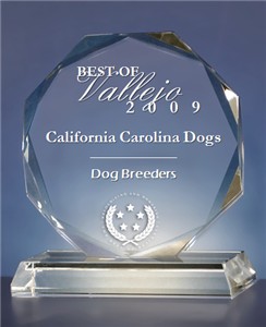 Best of 2009 California Carolina Dogs Award