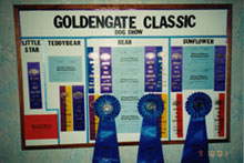 GoldenGate Classic Dog Show Awards