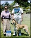 Carolina Dog Blue Ribbon Winner